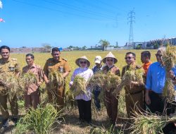Indira Yusuf Ismail Tekankan Peran Lorong Wisata untuk Pembangunan Pertanian Berkelanjutan