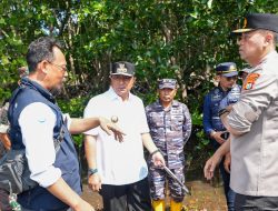 Sambut Hari Jadi Sulbar 20 Tahun, Masyarakat Diimbau Sepekan Menanam Mangrove