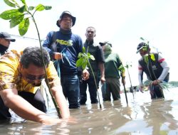 Semua Pihak Terlibat Sepekan Tanam Mangrove, PJ Bahtiar, Terima Kasih dan Ini Perlu Berkelanjutan
