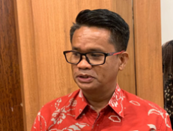 DLH Makin Intens Lakukan Pemangkasan Pohon