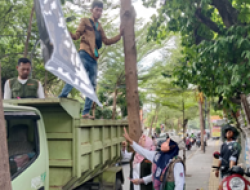 DLH Kota Makassar Dan  Bawaslu Bersihkan APK Terpaku di Pohon