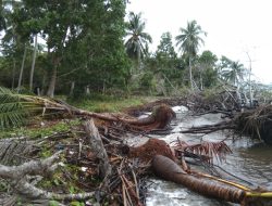 Abrasi Pantai Mampie , Irfan Pahri : Pemerintah Harus Ambil Sikap Jangan Diam