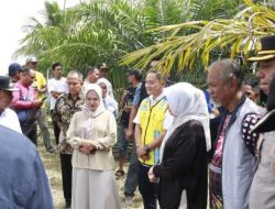 Sekda Mateng Dampingi Pj Gubernur Sulbar Tebar Benih Ikan Nila di Sungai Budong-Budong