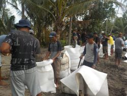 Prihatin terhadap Abrasi di Mampie, Irfan Pahri Putra Turun Langsung Bantu Warga Bangun Tanggul Darurat