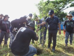 Dukung Ruang Terbuka Hijau, DLH Makassar Gelar Penanaman Pohon Dalam Peringatan HPSN 2025
