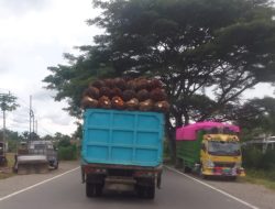 Warga Mateng Keluhkan Truk Sawit Overload yang Bahayakan Pengguna Jalan
