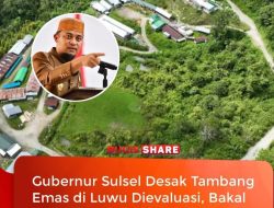 Gubernur Sulsel Desak Evaluasi Izin Tambang Emas Luwu: “Jangan Sampai Luwu Jadi Timika Kedua”