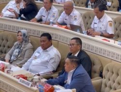Wagub Sulbar Sampaikan Isu Strategis Pembangunan Daerah di Komisi II DPR RI