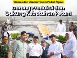 Wapres Gibran dan Mentan Amran Turun ke Sawah di Ngawi, Dorong Percepatan Tanam dan Ketahanan Pangan Nasional
