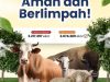 Jelang Iduladha 1446 H, Kementan Pastikan Stok Hewan Kurban Aman dan Mencukupi