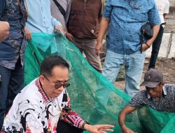 Kunjungan Tim Ahli Gubernur Sulbar: Menggali Potensi Tambak Pesisir di Pasangkayu