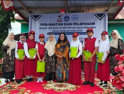 Wujudkan Mimpi Menuju Generasi Emas: SD Inpres Nipa-Nipa Makassar Gelar Penamatan Penuh Hikmah