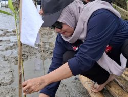 Dukung Konservasi Pesisir, Kadis Kesehatan Makassar Hadiri Penanaman Mangrove di Untia
