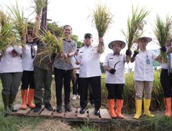 Stop Konflik Agraria! Wagub Sulbar Arahkan Alih Fungsi Lahan Sawit untuk Cetak Sawah Baru