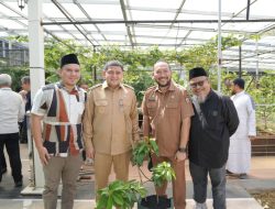 Wali Kota Makassar Launching Gerakan Urban Farming di Bukit Baruga
