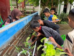 Peduli Lingkungan Sejak Dini, SDI Tallo Tua 2 Makassar Gelar Penanaman Pohon