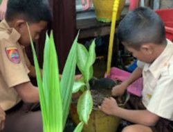 Wujudkan Sekolah Hijau, SDI Layang Bertingkat Makassar Gelar Penanaman Pohon Serentak