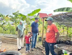 Ketua TP PKK dan Camat Tallo Turun Langsung Pantau Kesiapan Kebun “Aku Hatinya PKK” di Kalukuang