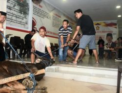 Gerindra Makassar Tebar Kepedulian di Iduladha, Hewan Kurban Disalurkan untuk Warga