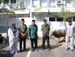 Iduladha 2026: Pemkot Makassar Salurkan Hewan Kurban untuk Masyarakat dan Cleaning Service